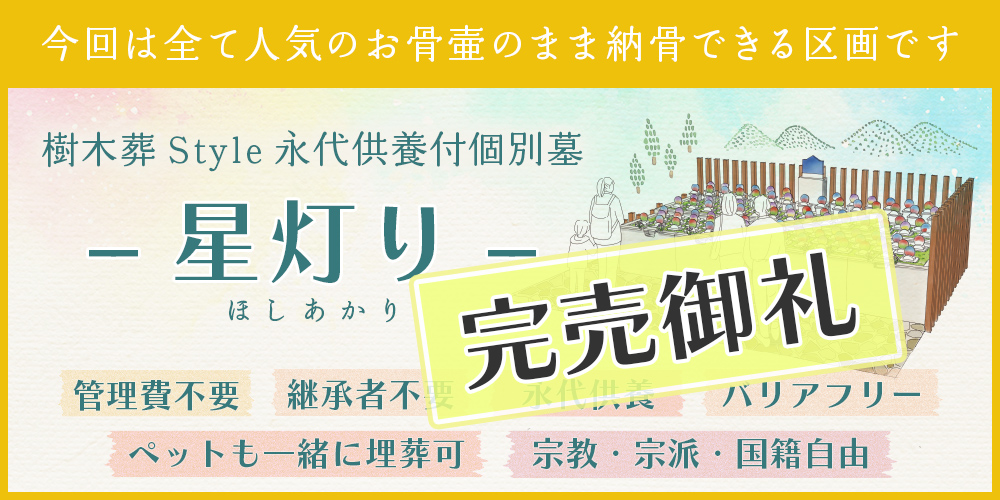 星灯り